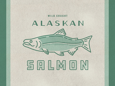 Salmon Illustration