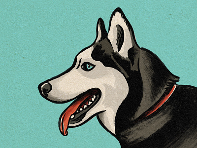 Arya Sketch art brush design dog drawing husky illustration procreate sketch texture vintage
