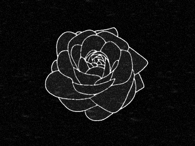 b l o o m after effects animation bloom flower gif procreate rose