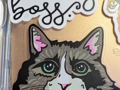 Gray and white peeking cat sticker