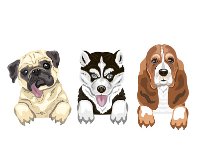 Puppies graphic design icon illustration vector