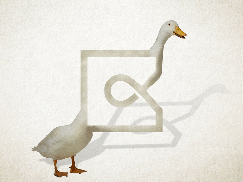 Study #5 - Cappen Presentation cappen duck manipulation photo photoshop study