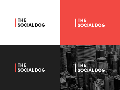 The Social Dog logo brand branding city dog identity logo logotype magazine media news social