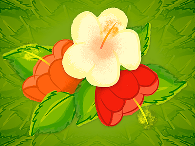 April Wallpaper desktop flowers hibiscus illustration illustrator photoshop screensaver tropical wallpaper