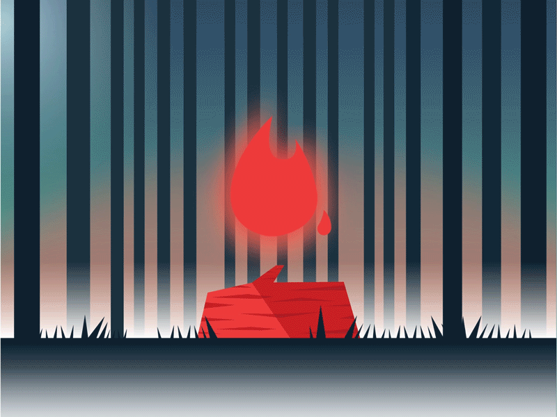 Campfire 🔥 campfire camping fire flame flicker forest illustration log outdoors woods