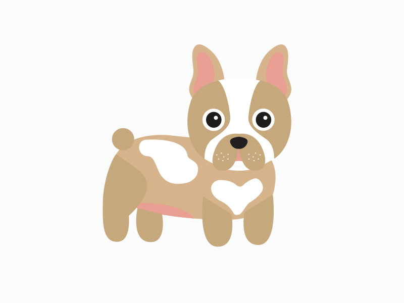 French Bulldog Animation after effects animation dog ears friendly gif illustration tail vector wag