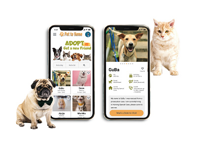 UX Design Process - Pet to Home