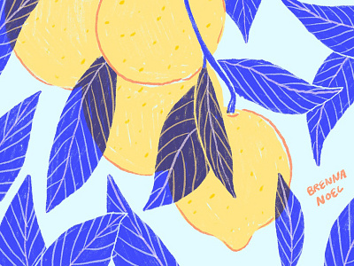 Lemonade botanical citrus design fruit hand drawn illo illustration ipad pro leaves lemon lemonade lemons plant procreate