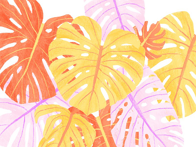 Monstera botanical hand drawn house plant illustration ipad pro jungle monstera nature pattern pink plant procreate textile tropical yellow