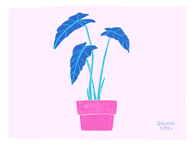 Color Play botanical hand drawn home decor hot pink houseplant illustration illustrator ipad pro leaf leaves photoshop plant planter plants procreate wacom