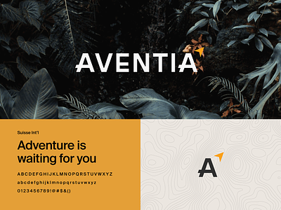 Aventia Adventure Branding