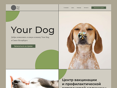 Landing Page concept branding design dog icon illustration logo site typography ui uiux ux uxui vector vet clinic web web design web site