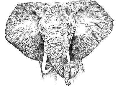 African Elephant Illustration african elephant big 5 big five black and white branding elephant illustration logo pointillism south africa