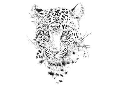 Leopard Illustration big 5 black and white branding graphic design illustration leopard logo pointillism south africa