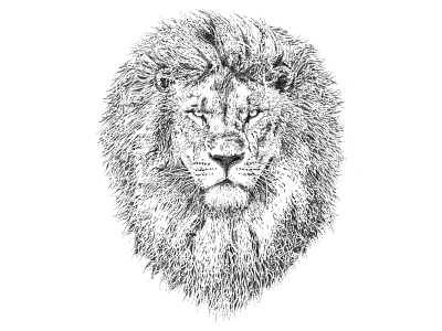 Male Lion animal big 5 black and white branding design illustration lion lion king logo pointillism south africa wild