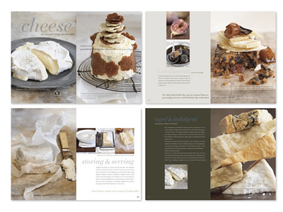 Cheese Brochure branding brochure cheese design