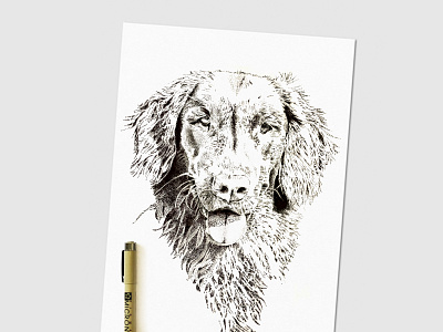 Golden Retriever Illustration black black and white design dog dot work golden retriever illustration pet pointillism retriever
