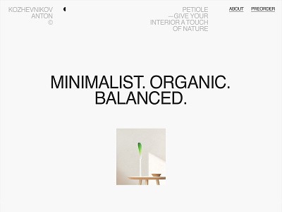 Petiole Vase design desktop flat fullscreen minimal typography ui ux web website