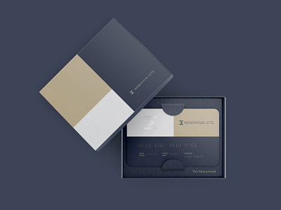 Momentum Jets—Private + Luxury Travel branding design graphic design logo packaging