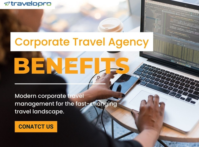 Best Corporate Travel Agency by Finge Holden on Dribbble