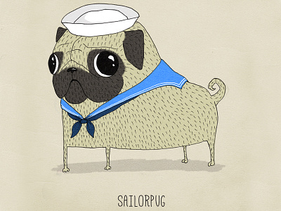 sailorpug animal character character design dog funny illustration pug sailor