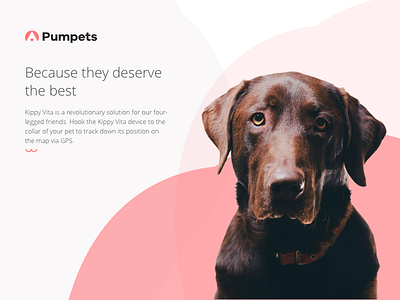 Pumpets Branding brand branding design dog friendly identity logo mark pet pink symbol