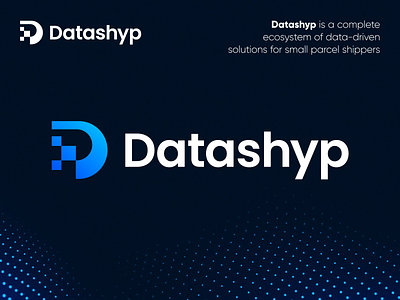 Datashyp - Logo Design Concept (for sale)