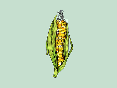 Husky Corn corn digital husk husky illustration inktober inktober 2019