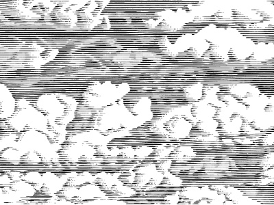 Cumulus clouds line art pen ink