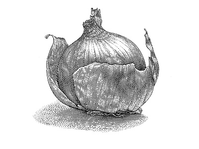 Onion lineart pen ink