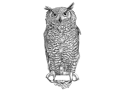 Owl engraving lineart pen ink