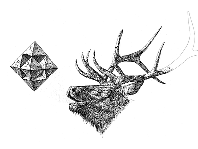 102 deer ink lineart pen and ink