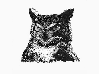 The owls are not what they seem black and white ink line art lineart owl pen and ink