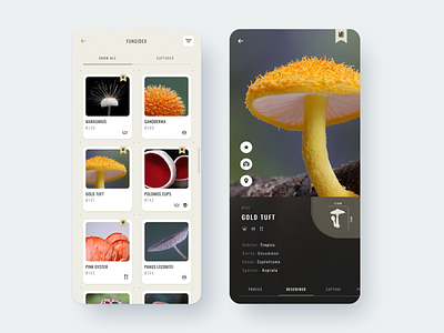 Fungidex - App Design app design biology branding fungi fungus gold mushroom mushrooms specimen ui design uiux