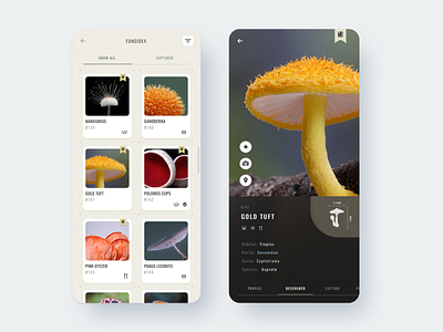 Fungidex - App Design