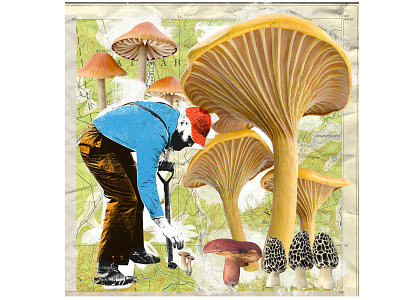 Mushroom hunting blender3d collage digital art editorial editorial illustration illustration magazine illustration