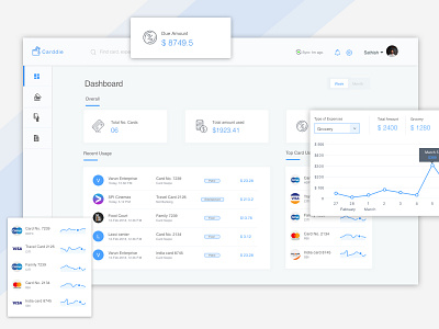 Carddie -App for managing Debit/Credit cards card concept dashboard graph management menu money website