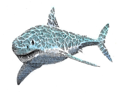 Hello Fren crosshatch digital editorial great white illustration jaws portrait shark sharks
