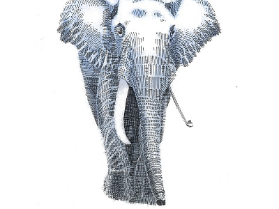 Elephant for Dom - Remix animals crosshatch digital editorial elephant illustration