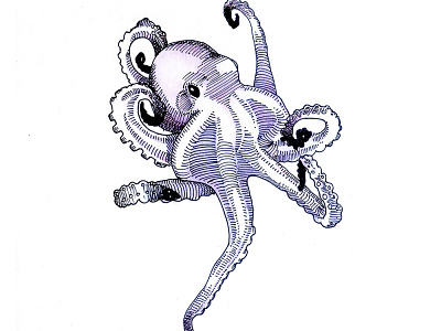 Birthday Octopus for Damon animals crosshatch digital editorial illustration octopus