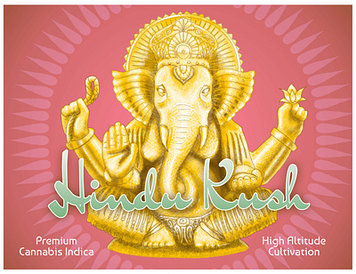 Hindu Kush cannabis crosshatch digital fruit box art illustration label