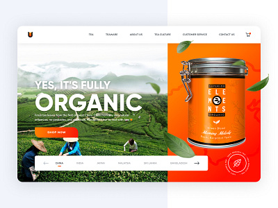 Organic tea brand & online store concept bright clean ecommerce landing minimal orange organic product shop store tea typography website