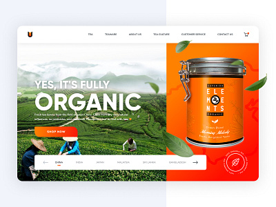 Organic tea brand & online store concept