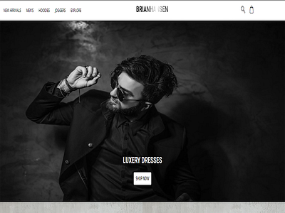 Brianhansen - Ecommerce website