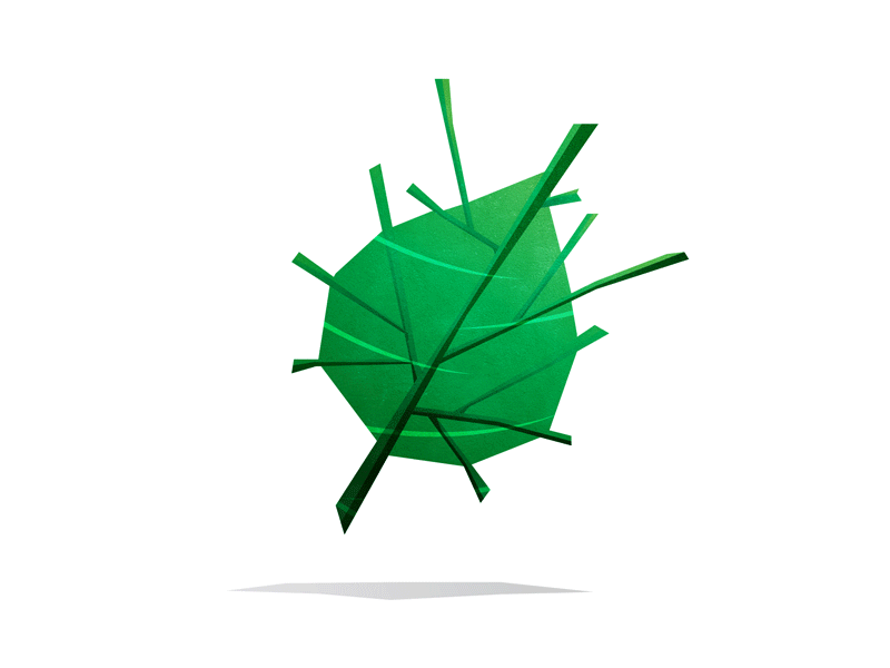 Deku Leaf animation deku design gif illustration leaf legend of texture vector waker wind zelda