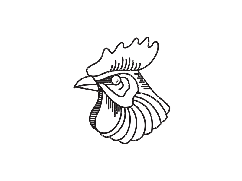 El Gallo Bravo adobe illustration illustrator line rooster vector
