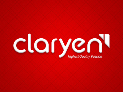 Claryen Logotype branding custom identity logotype typography