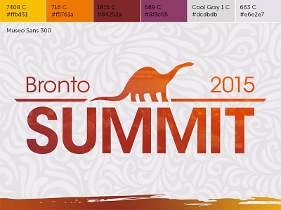 Rejected Summit style guide branding bronto color guide pattern style