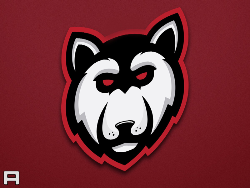 Husky Sports Logo by Allen on Dribbble