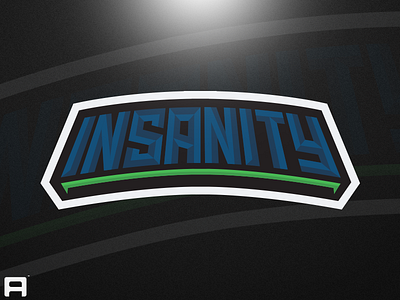 Insanity Gaming Text Logo brand identity branding esports illustration logo logodesign mark sports text text logo